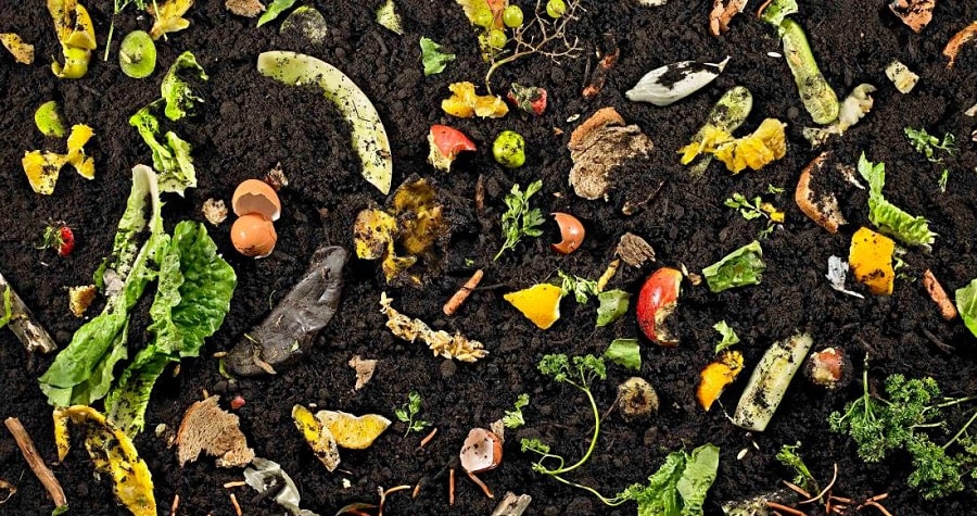 bacteria for composting