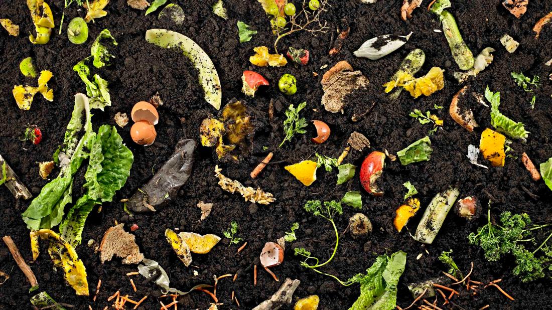 composting culture